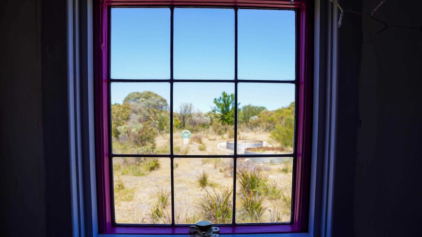 A view from the purple and pink-framed toilet window at the back of the bus shows the surrounding bush.