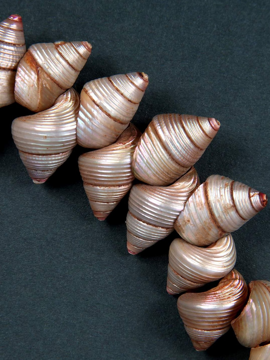 Close-up of shell necklace.