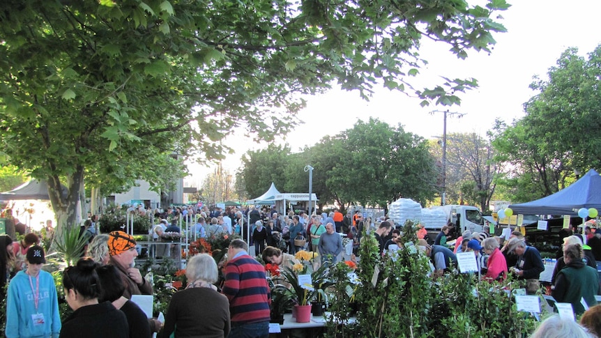 People browsing stalls at the ABC Gardeners' Market