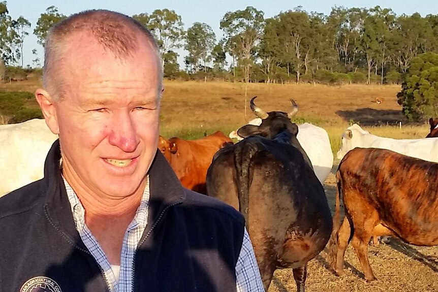 Cattle and pig farmer Robert Doyle at his farm at Electra near Bundaberg.