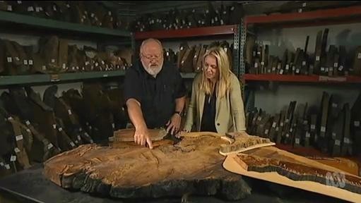 A man and woman look at a cross-section slice of a large tree trunk