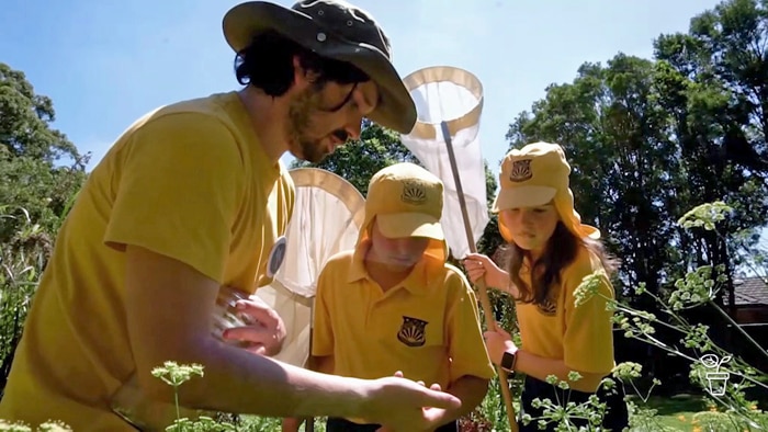 Young children with butterfly nets standing with a man near shrub looking at something in his hand.