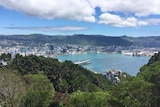 A scenic shot looking down on the city of Wellington in New Zealand.