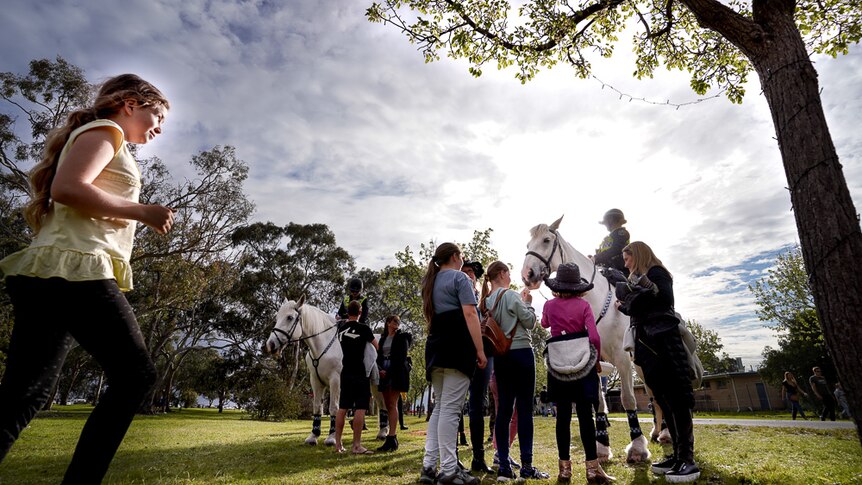 A girl runs over to join the crowd patting a police horse at the Lucindale park before One Night Stand.