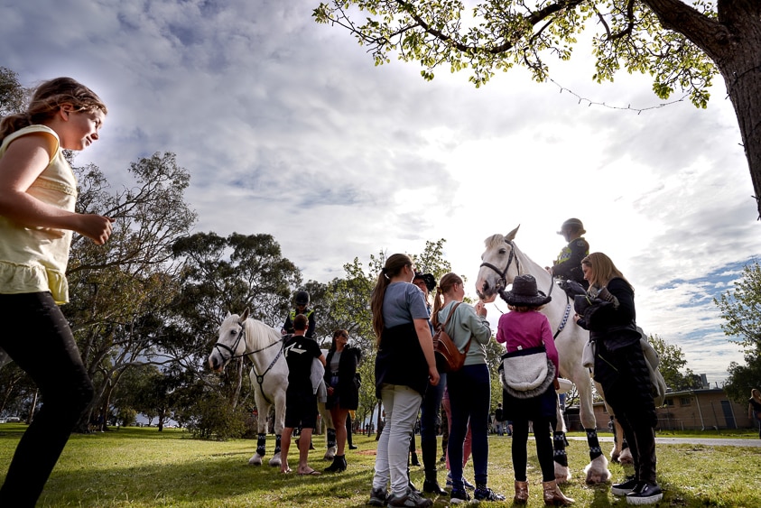 A girl runs over to join the crowd patting a police horse at the Lucindale park before One Night Stand.