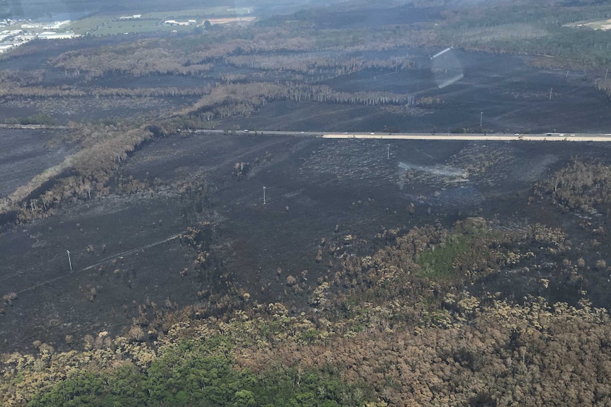 Damage done by a large bushfire at Coolum