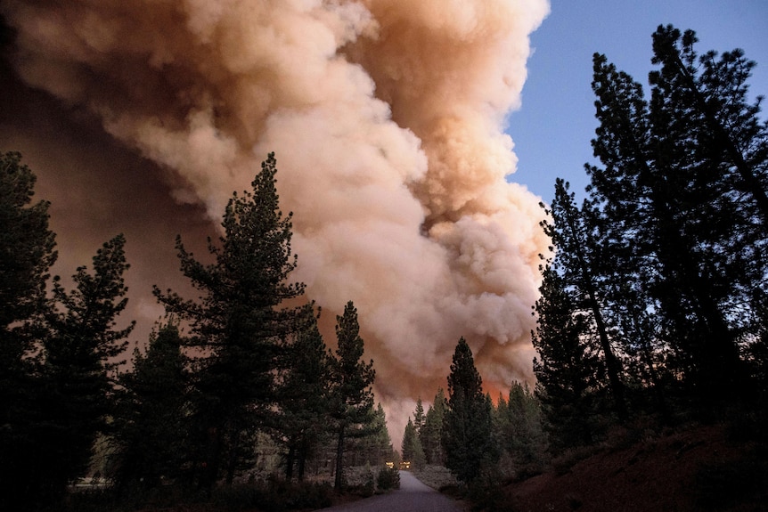 Plumes of smoke and fire rise over a road