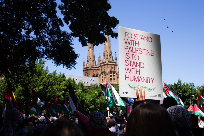 Pro-Palestinian poster with sydney's st mary's cathedral church in the background