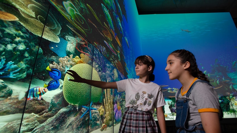 Two young visitors touch the screen to see fish.