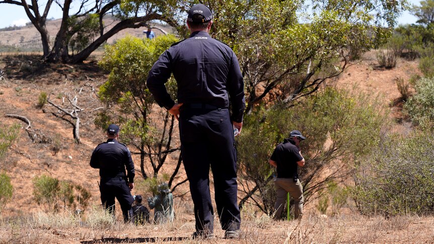 Three police officers search bushland with their backs towards the camera