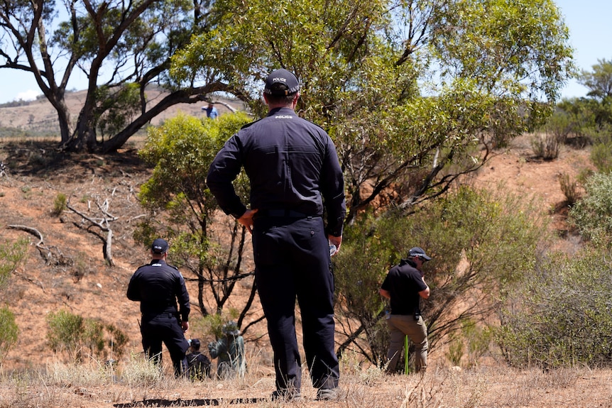 Three police officers search bushland with their backs towards the camera