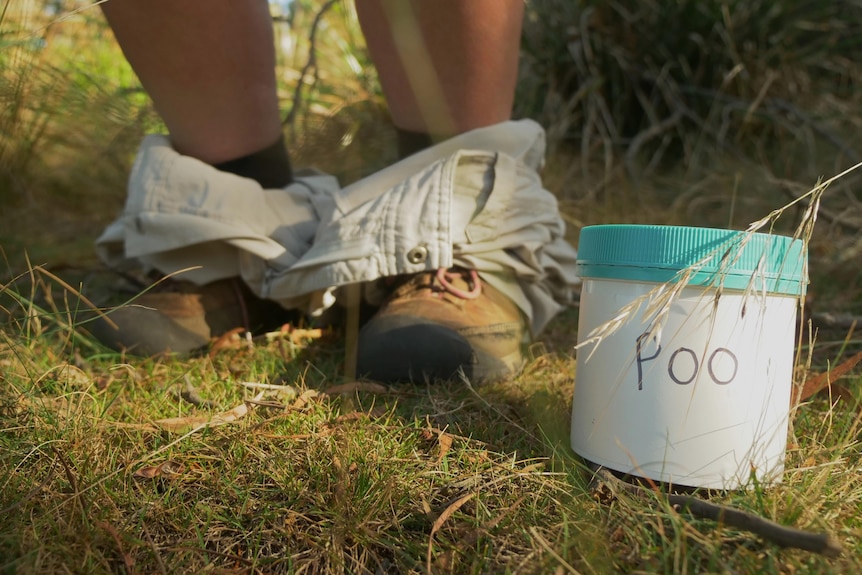 The feet of someone pretending to be going to the toilet in the bush, with a poo pot.