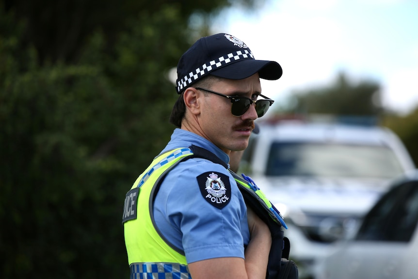 Copper Spearwood stabbing