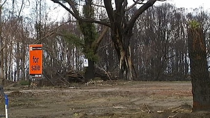 Bushfire scene ... six months on