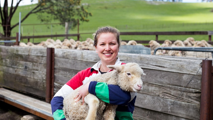 A farmer smiling while holding a sheep in front of a sheep flock in farm yards.