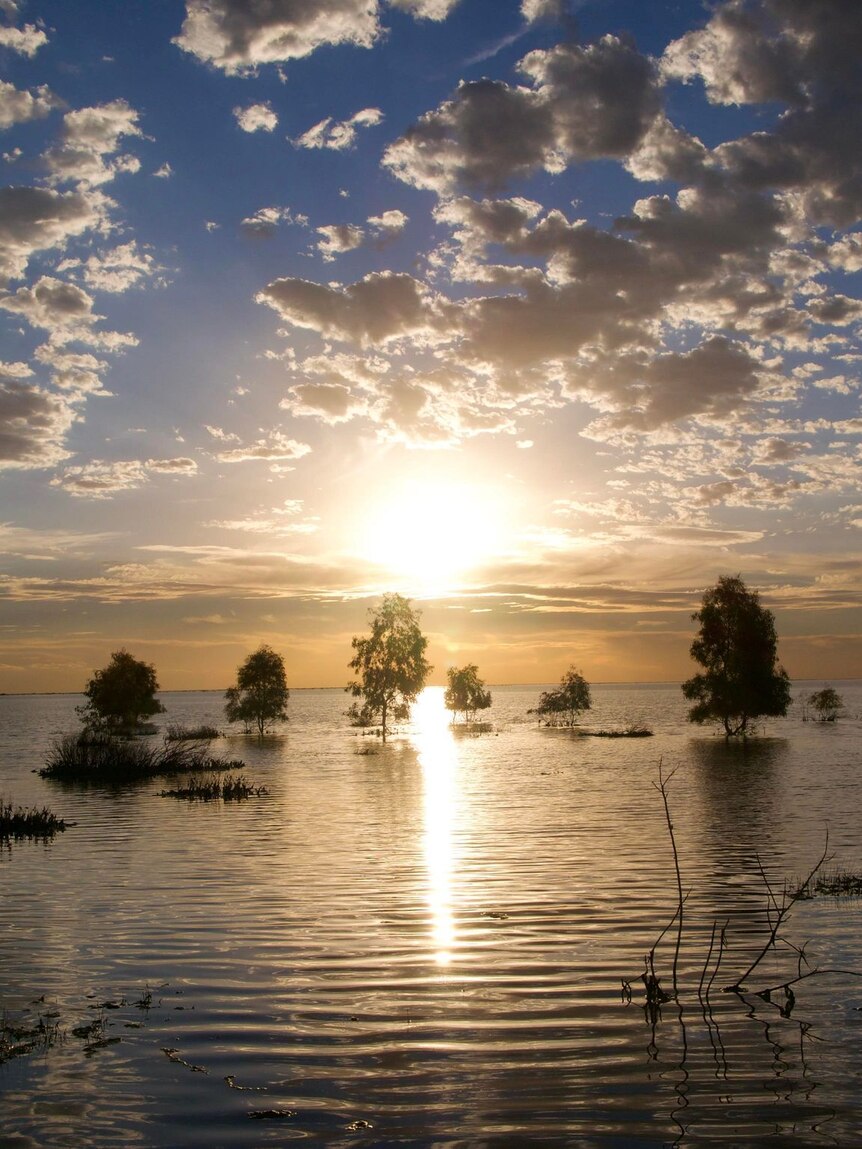 Water NSW meets with Menindee residents to discuss rejuvenated lake's flows thumbnail