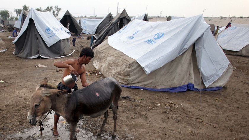 A flood victim washes his donkey outside his tent while taking refuge in a relief camp