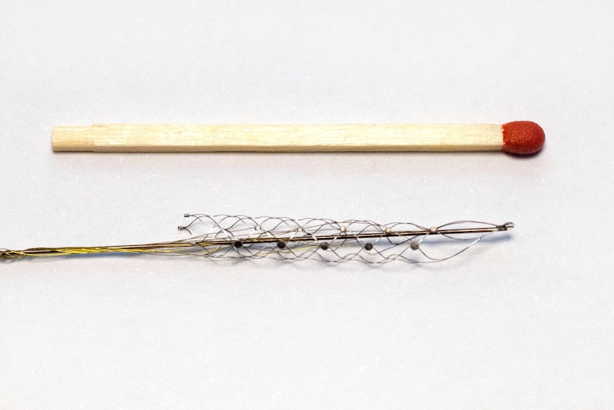 A small wiry device next to a match stick.