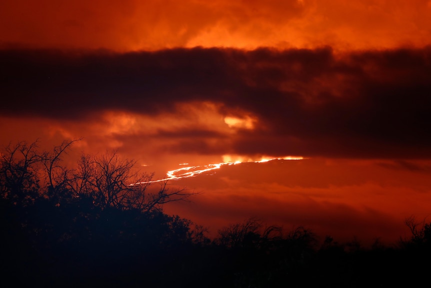 An evening scene shows silhouetted shrubbery in the foreground and golden hues in the background