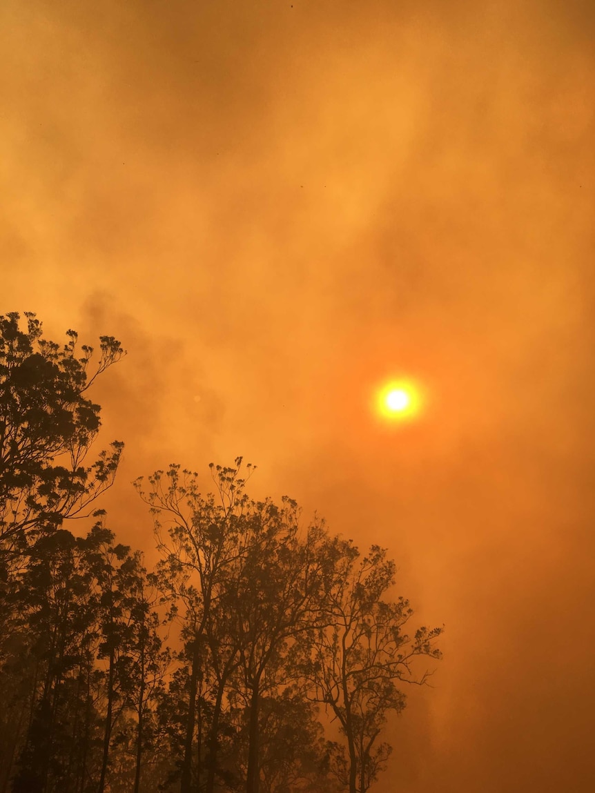 The sun glows dimly in a sky turned an ominous orange by bushfire smoke.