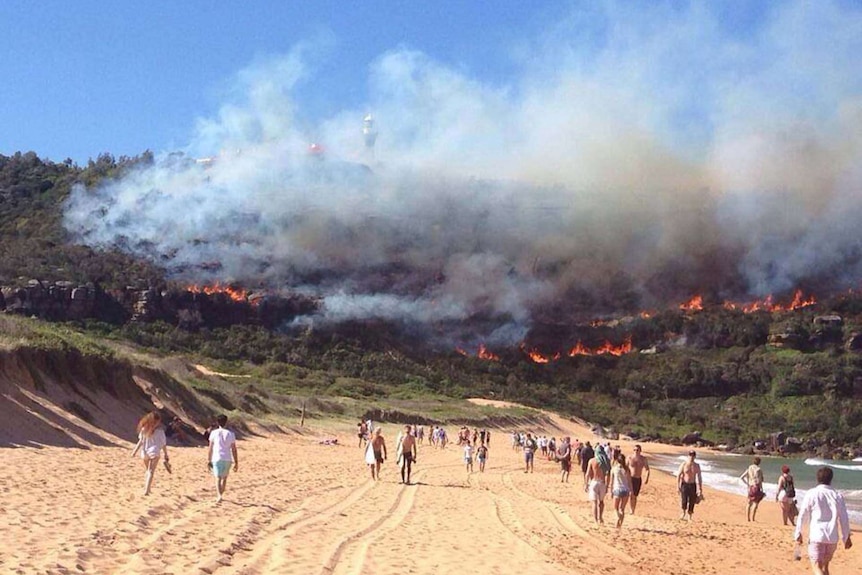 Fire burns on Barrenjoey headland