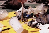 Rubbish collected by the Seabin including plastic and paper cups and plastic bags sits on the ground.