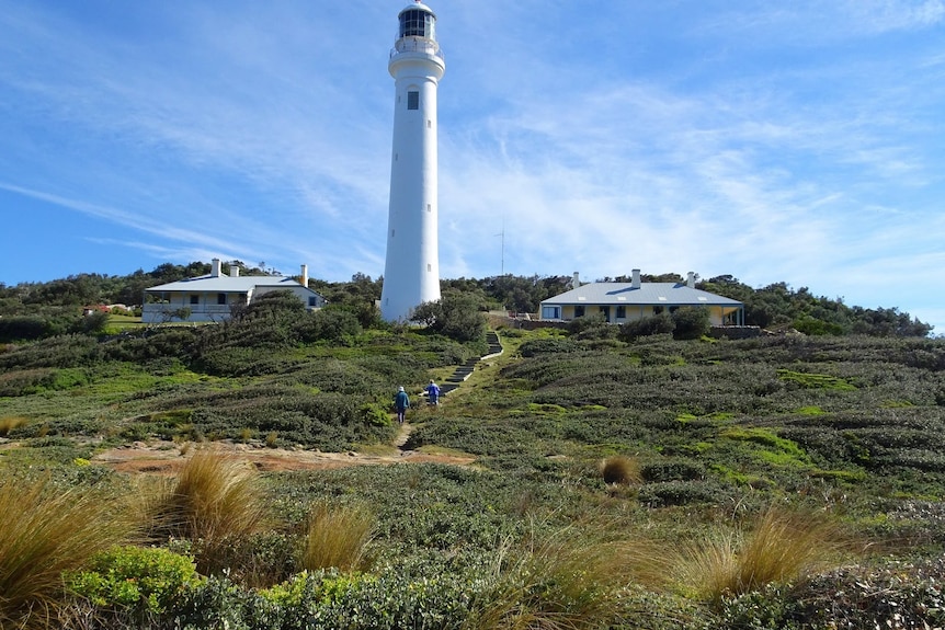 A lighthouse on a headland