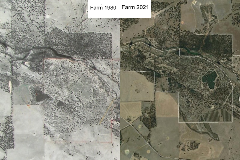 Two maps showing the change in vegetation between 1980 and 2021 on the farm.