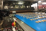 Picnic bars about to get coated in chocolate on a conveyor belt.