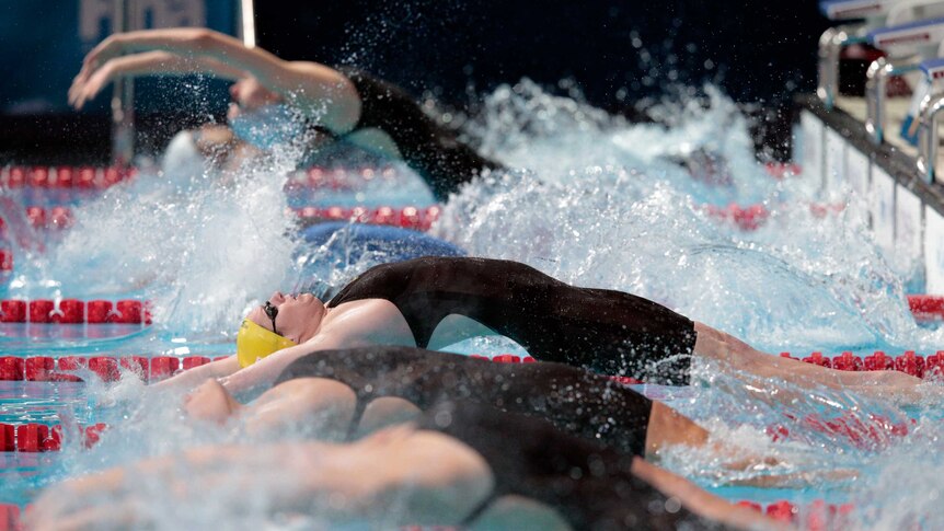 Seebohm dives at the Swimming World Championships