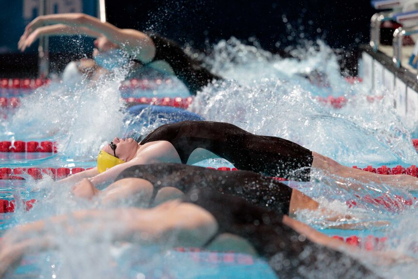 Seebohm dives at the Swimming World Championships