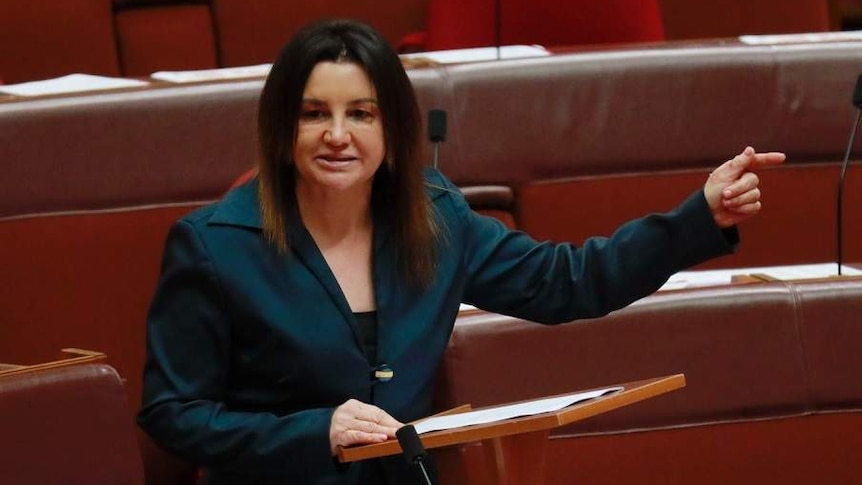 Jacqui Lambie points a finger while speaking.