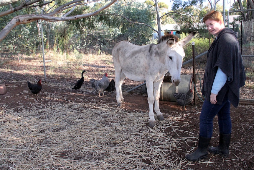 Rescue donkey Tully with his new owner Kim Goldsmith