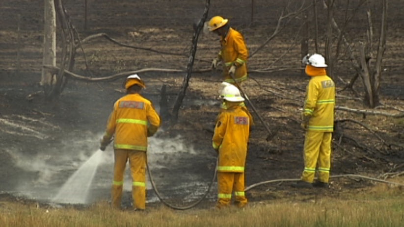Firefighters say the blaze blackened 30 hectares