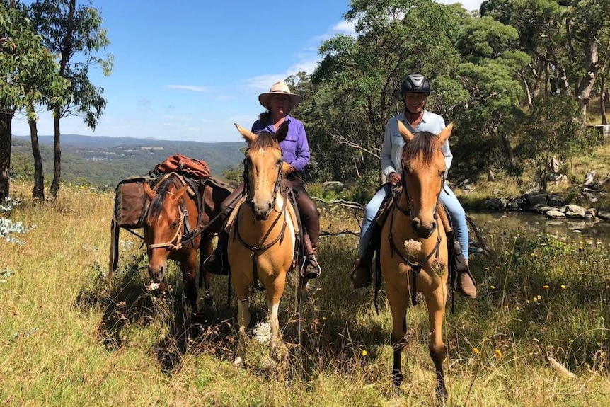 Erica Jessup and Heather Ewart on Guy Fawkes Heritage Horses