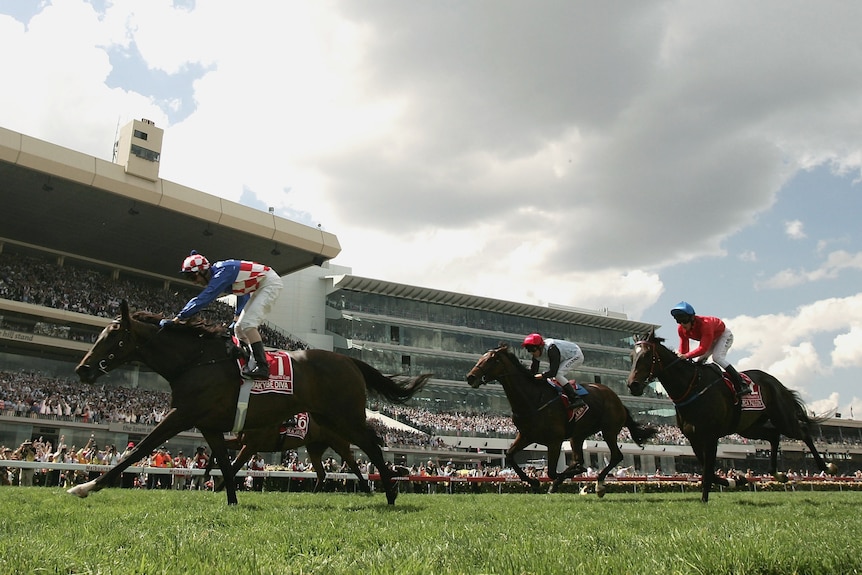 A jockey stands up in the irons on Makybe Diva at the finish of the Melbourne Cup, with two horses trailing behind her. 