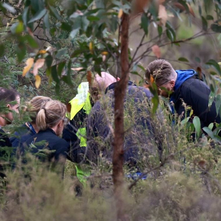 Police officers search dense bush