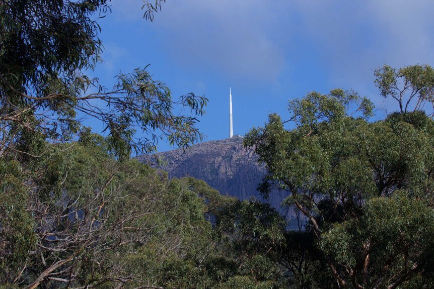 Mount Wellington looms through the trees at the Waterworks Reserve
