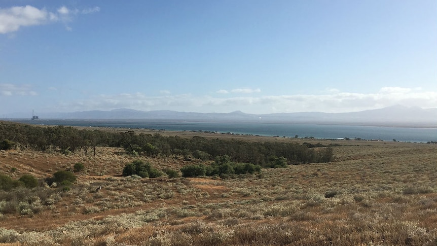 Cultana, South Australia