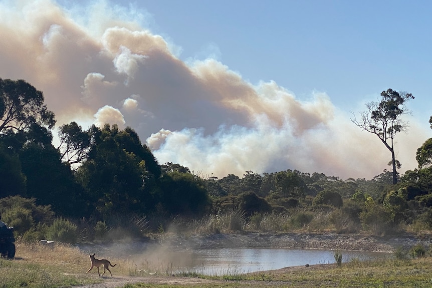 Massive smoke plumes rise over a rural setting