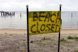 Beachgoers warned to stay away after fatal shark attack.