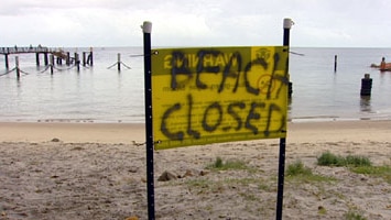 Beaches closed: Ms Bligh says the death is the first on a beach with shark protection measures.