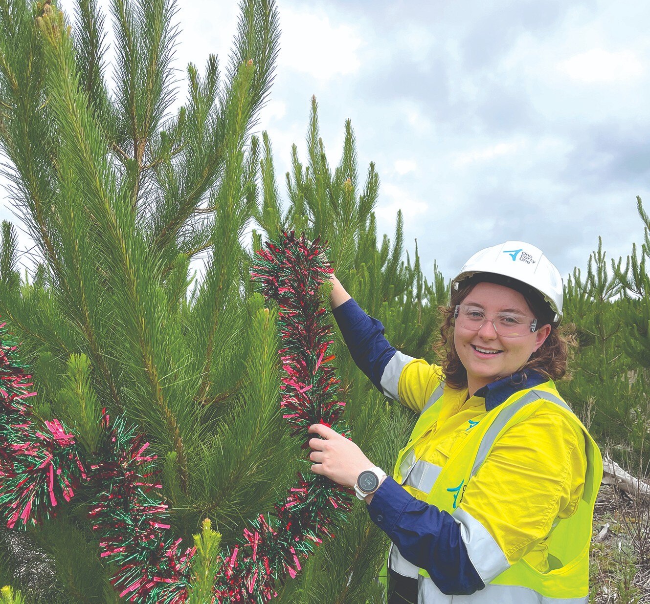 Free Christmas Tree Giveaway 2022 Christmas Tree Giveaway Spreads Festive Cheer Amid Skyrocketing National  Consumer Demand - Abc News