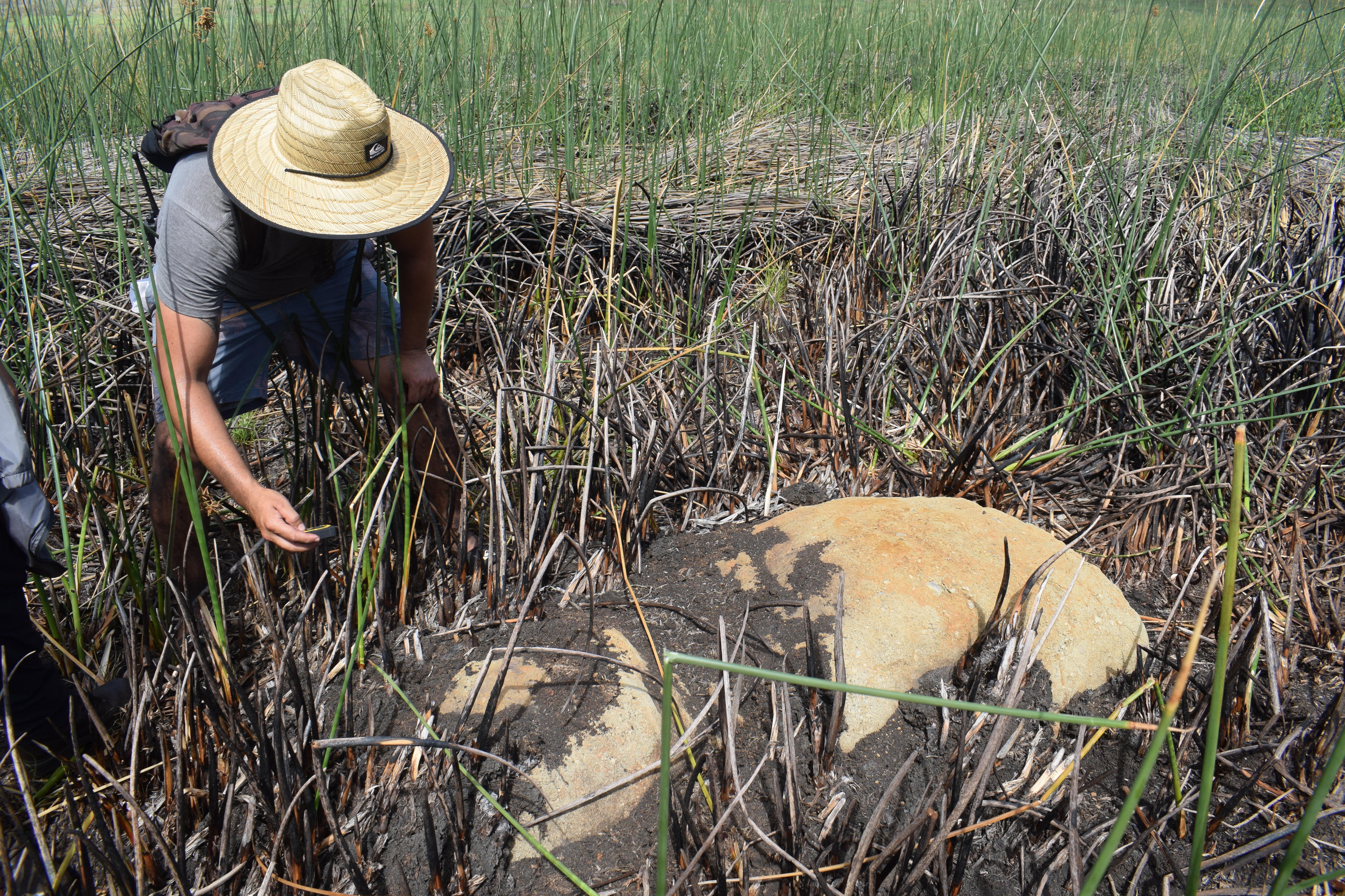A person crouched in long grass next to a large stone