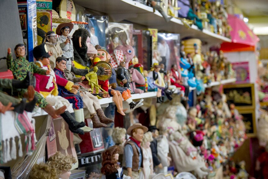 Shelves of dolls and collectibles.