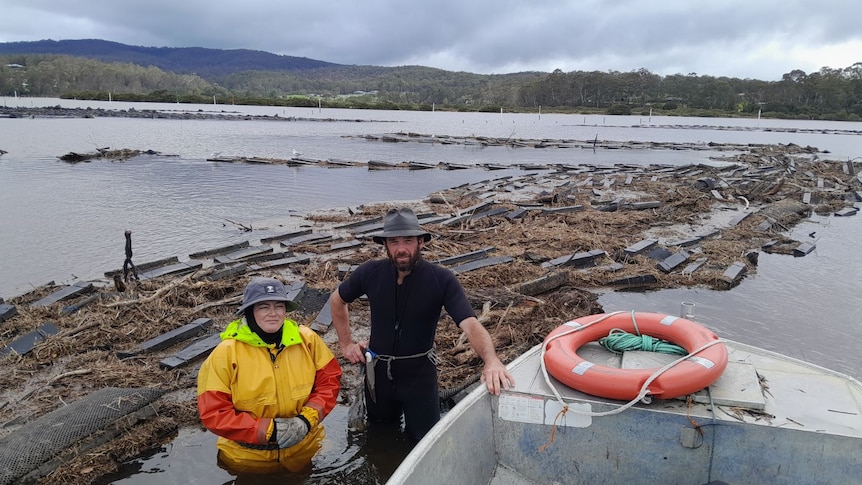 Oyster farmers Kelly Jones and Roy Glessing cleaning up their oyster lease