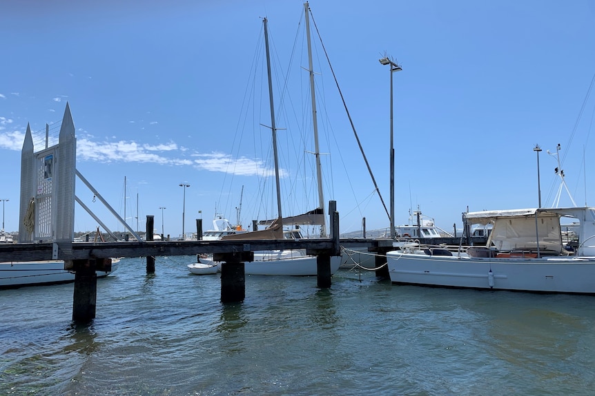 A selection of boats in a marina