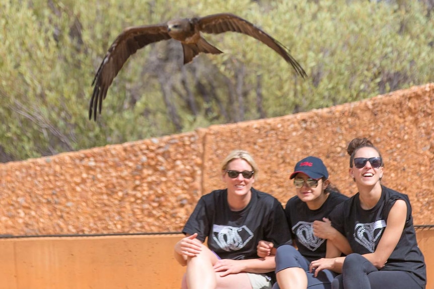 A black kite flies above the heads of three spectators at the Alice Springs Desert Park bird show.