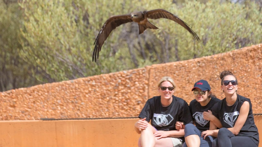 A black kite flies above the heads of three spectators at the Alice Springs Desert Park bird show.