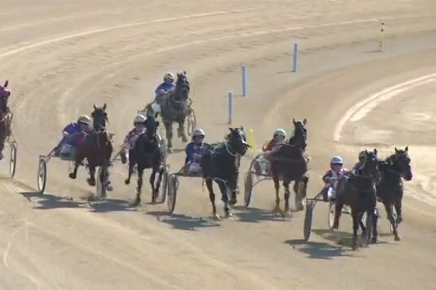 Police allege race fixing determined the result of this race at Albion Park in Brisbane in October 2017.